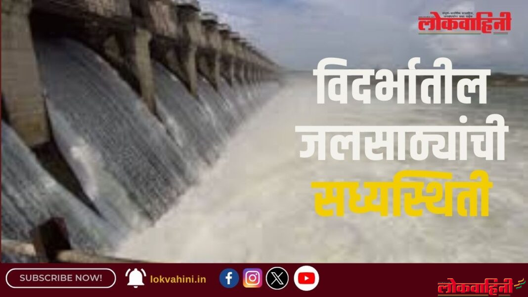 Water Stalk : विदर्भातील जल साठ्यांची स्थिती
