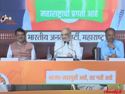 महाराष्ट्राचा पुढचा मुख्यमंत्री कोण होणार?अमित शाह यांनी स्पष्टच सांगितलं