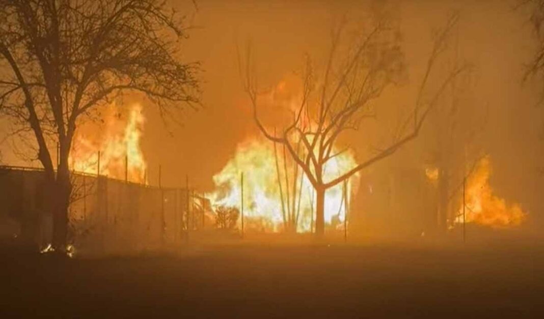 भारतीय सैन्याच्या एका तडाख्याने पाकिस्तानला लागले भीकेचे डोहाळे