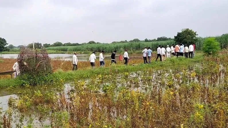 सोलापूर जिल्ह्याला प्रथमच मिळाली नुकसानभरपाईची २७९ कोटी रक्कम